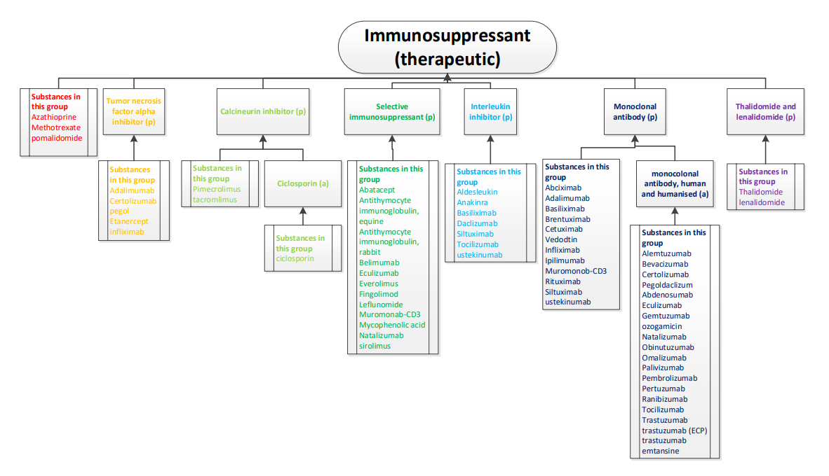 Example Medicine Group